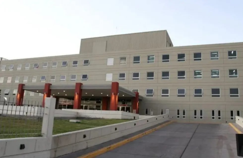 Los menores están internados en el Hospital Guillermo Rawson.