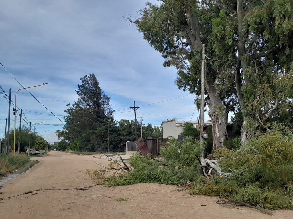 Temporal en Tres Arroyos: evacuados, árboles  caídos, techos volados y daños