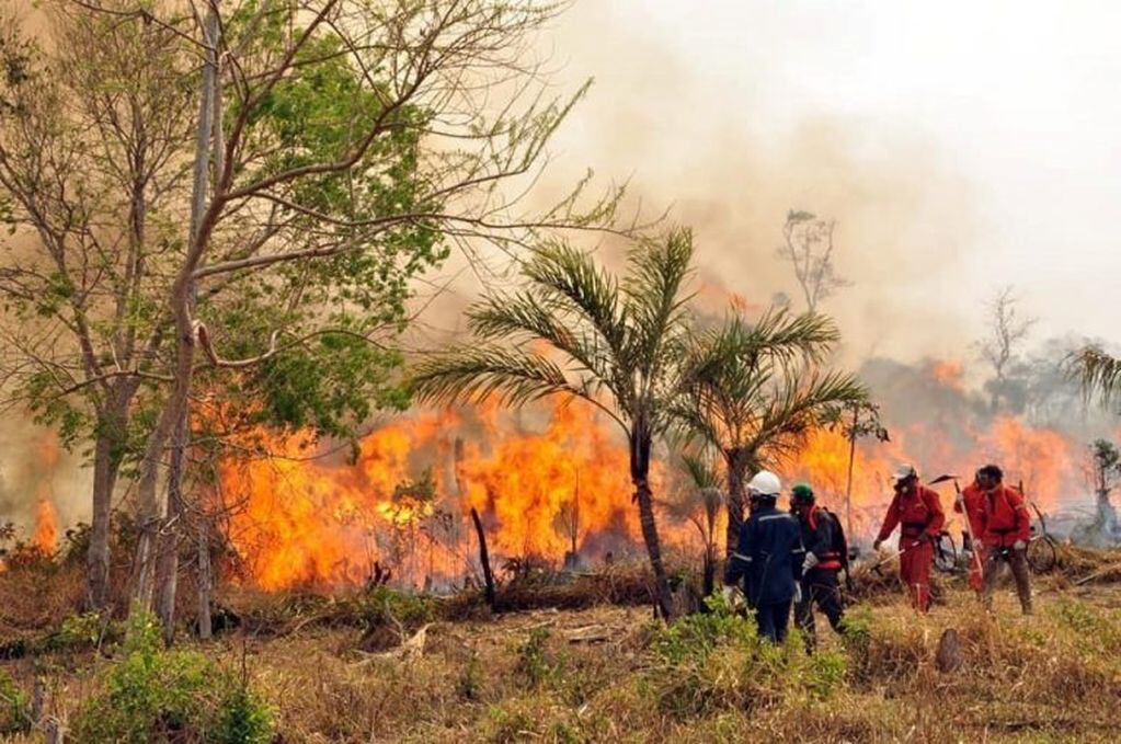 Incendios en Bolivia  (Foto: DPA)