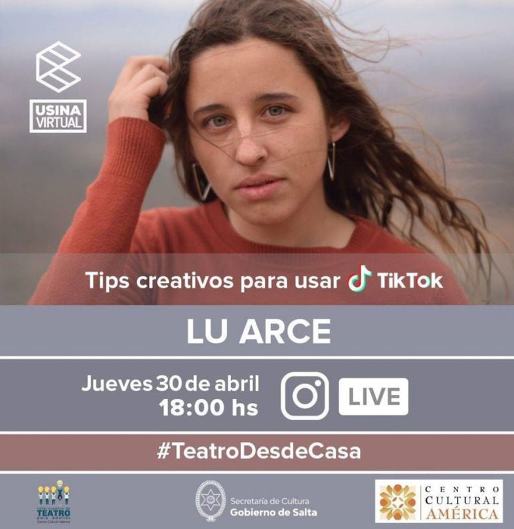 Vivo de la Usina Cultural sobre TikTok con Luján Arce (Facebook Usina Cultural)