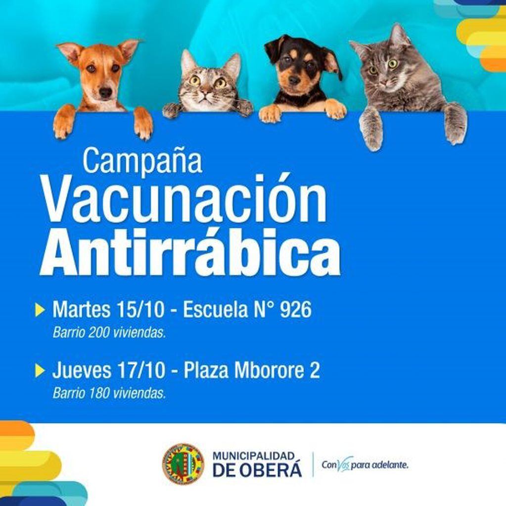 Vacunación antirrábica para mascotas en Oberá.