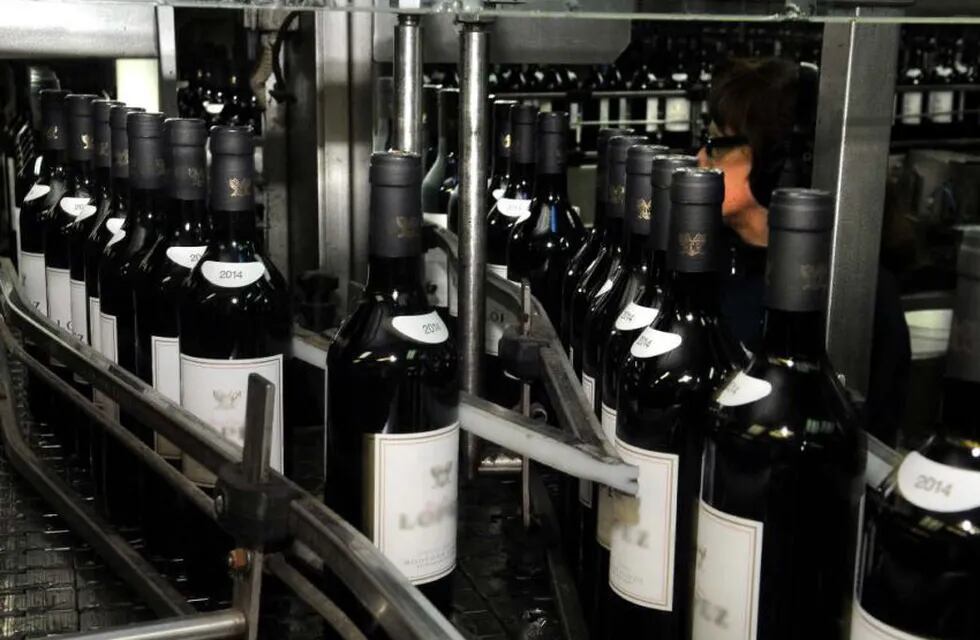 Confirman 8% de retenciones por exportación al sector vitivinícola.