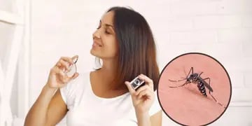 No te lo pongas: este perfume hará que los mosquitos te piquen más