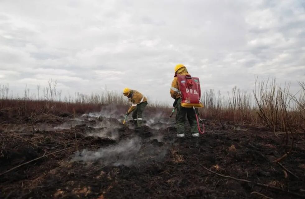 Arduo trabajo de brigadistas para combatir los incendios en las islas frente a Rosario (Gobierno de Santa Fe)