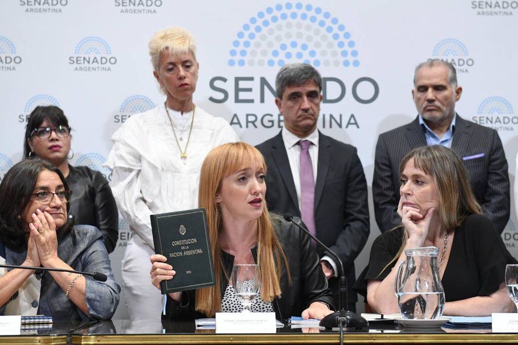 La senadora Anabel Fernández Sagasti es la autora del proyecto. Foto: Comunicación Senado.