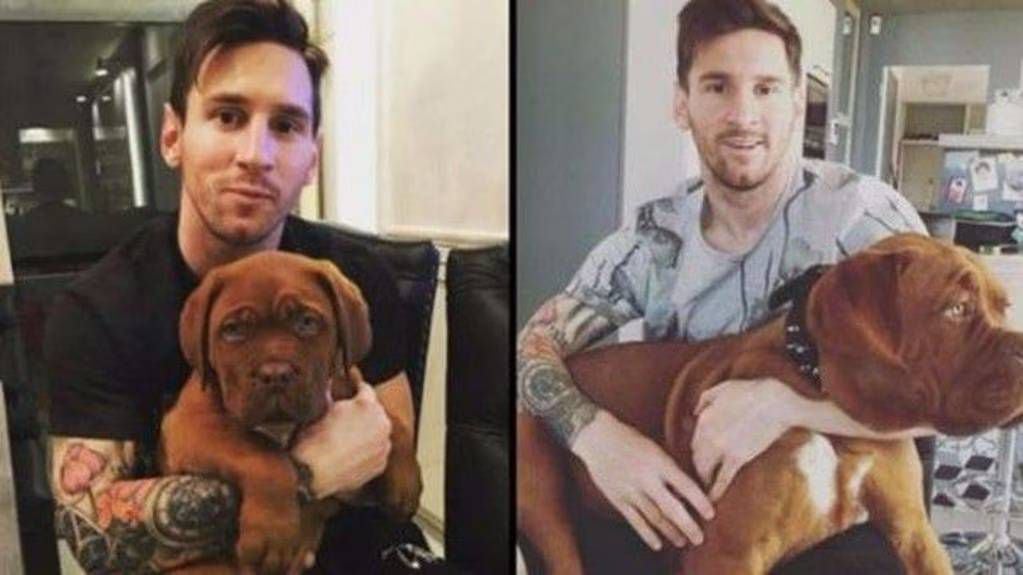 Las primeras fotos de Lionel Messi junto a su perro Hulk.