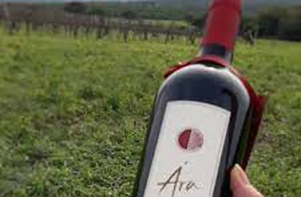 Bodega los Aromitos y su vino ARA.