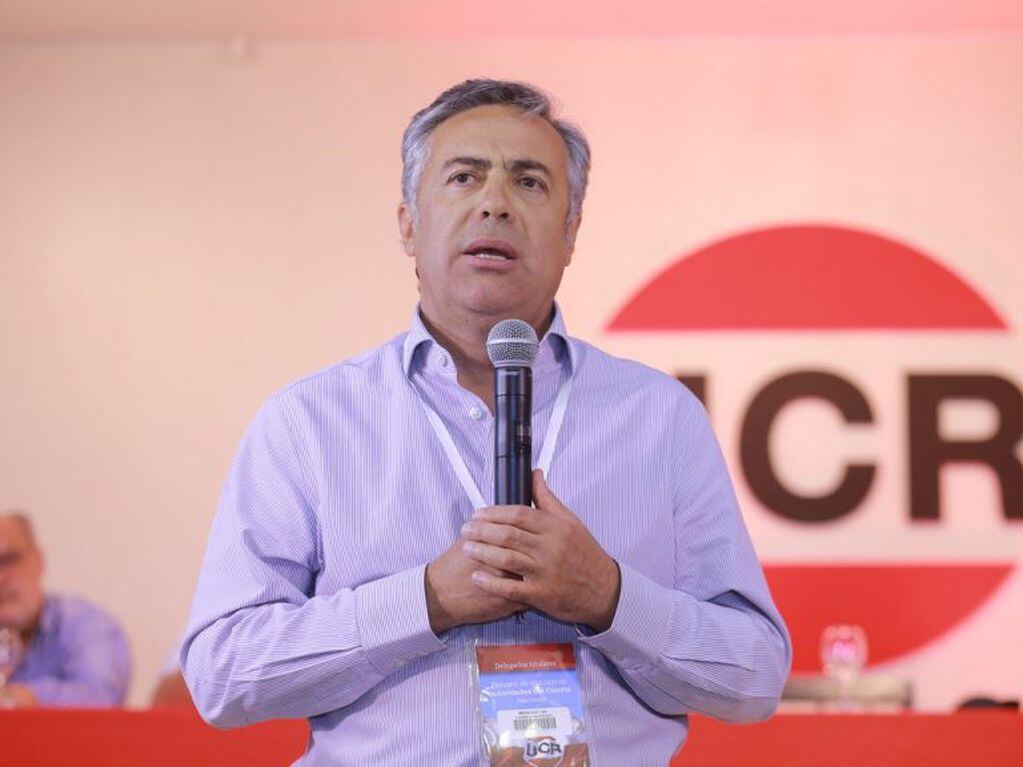 Alfredo Cornejo, presidente de la UCR (Web)