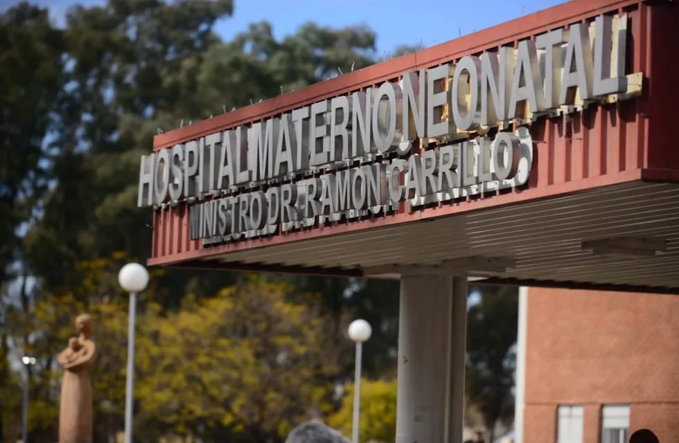 Los especialistas explicaron la importancia de la falencia Hospital Materno Neonatal. (José Hernández)