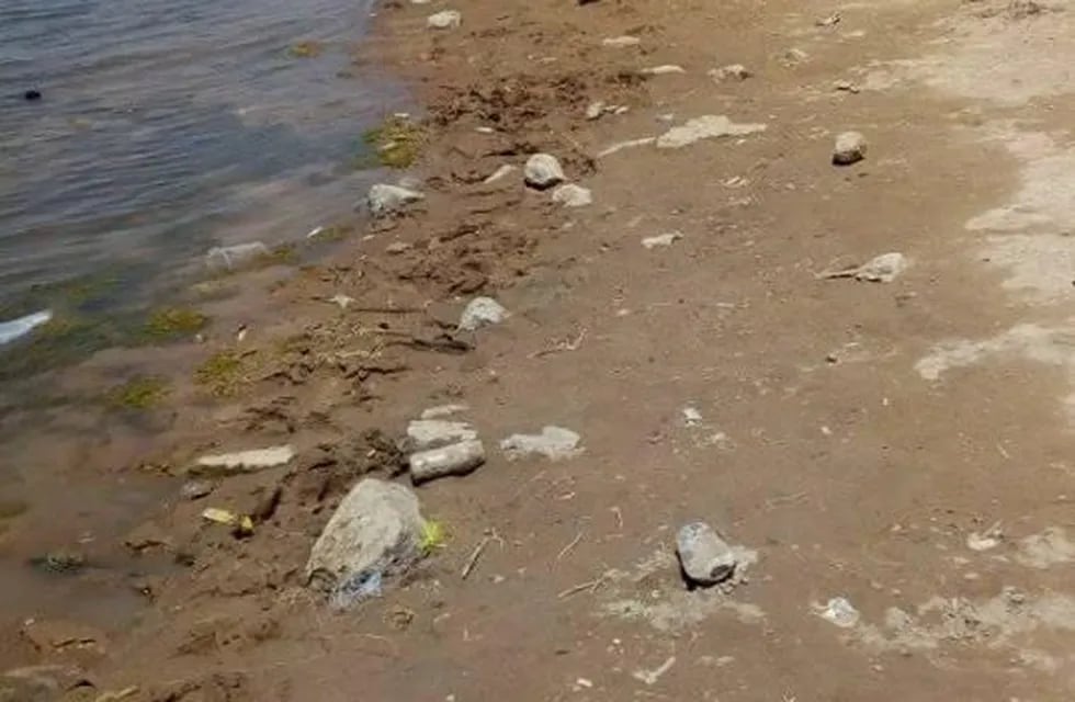 La basura llamó la atención de la sanjuanina que decidió tomar fotos.