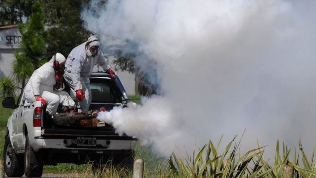 Siguen las campañas de fumigación en Puerto Iguazú