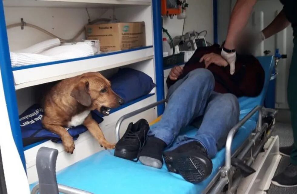 Posadas: se desvaneció en la vía pública y su perro lo acompañó en la ambulancia hasta el hospital.