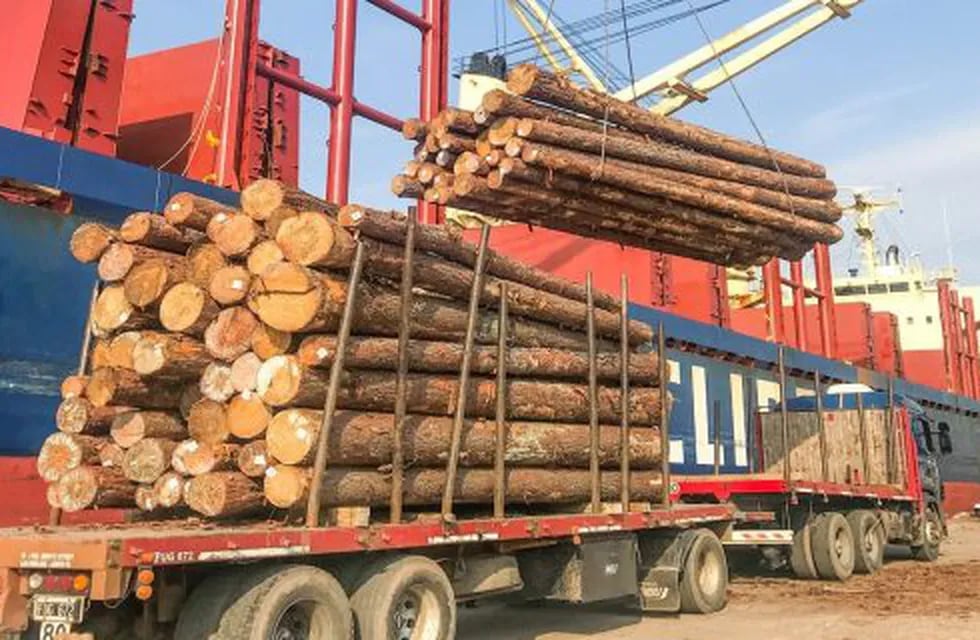 Puerto de Ibicuy - exportan madera a China\nCrédito: Ministerio de la Producción