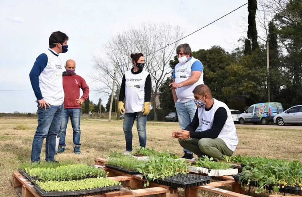 La Municipalidad lanzó un programa para que los vecinos aprendan a hacer su propia huerta (Municipalidad de La Plata)