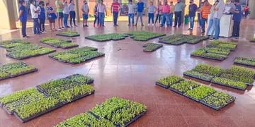 Productores de Eldorado recibirán plantines hortícolas