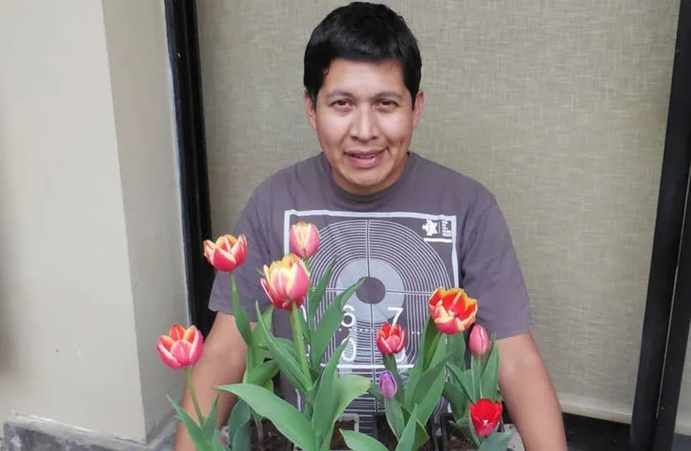 Daniel Ibarra junto a sus tulipanes (La Nación)