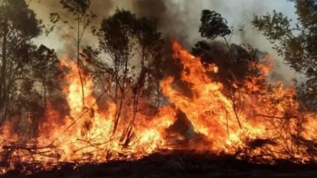 Incendios en Corrientes