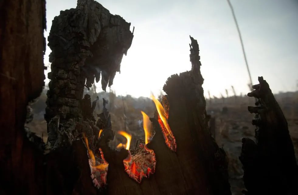 Vista de troncos en llamas este lunes, en Porto Velho (Brasil).