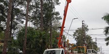 Puerto Iguazú: realizan mejoras en las líneas de tendido eléctrico