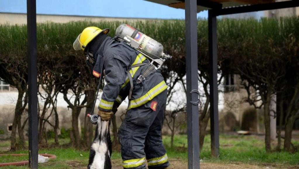 Los bomberos lograron rescatar a un perro que quedó atrapado en el edificio. Foto: Chino Leiva