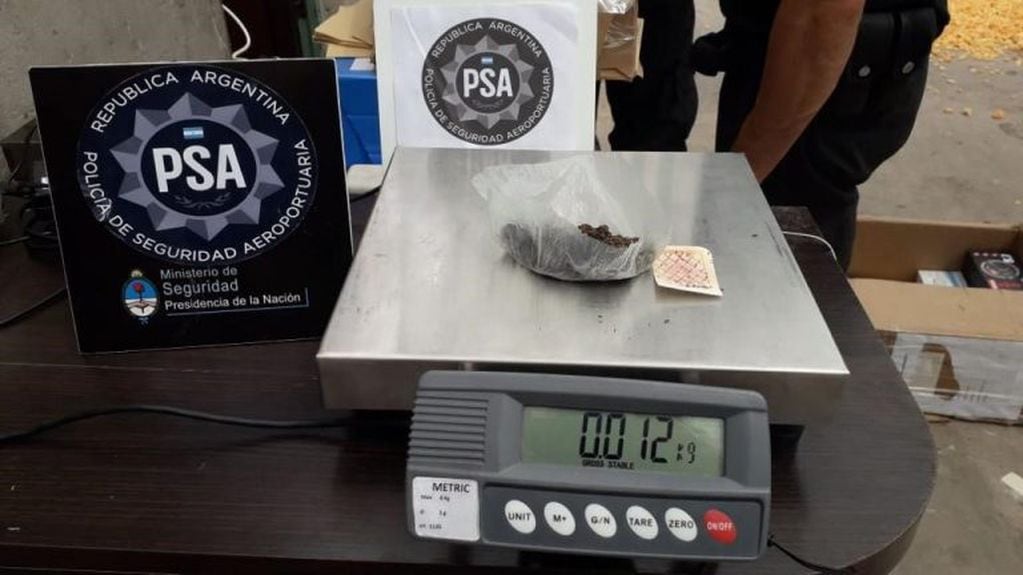 Durante los allanamientos encontraron 393 gramos de marihuana, plantas de cannabis y cocaína. (@minseg)