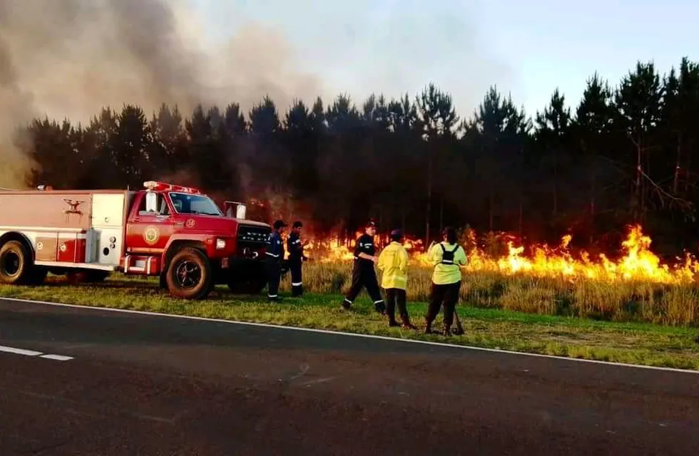 Incendios en Corrientes. (Gobierno de Corrientes)