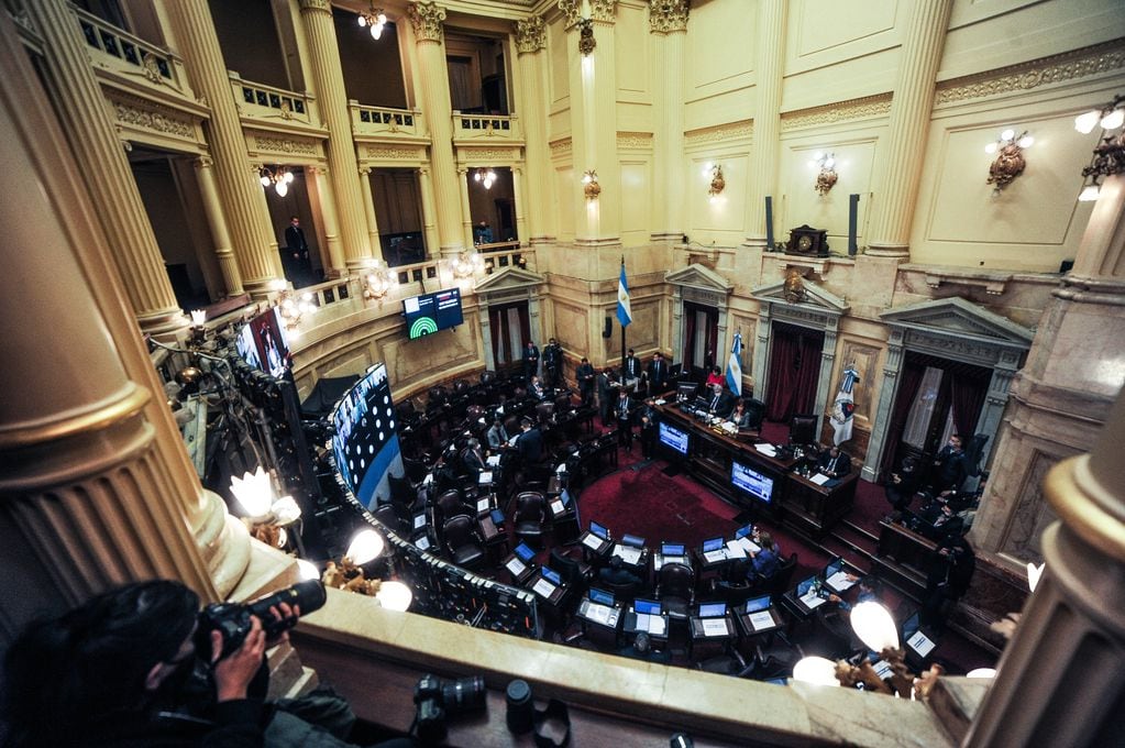 Cristina Fernández de Kirchner durante la sesión en el Senado por la ley de Zonas frías y cupo laboral trans Foto Federico Lopez Claro
