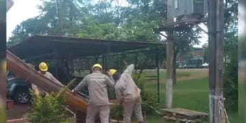 Colonia Wanda: realizan recambio de postes de madera por hormigón