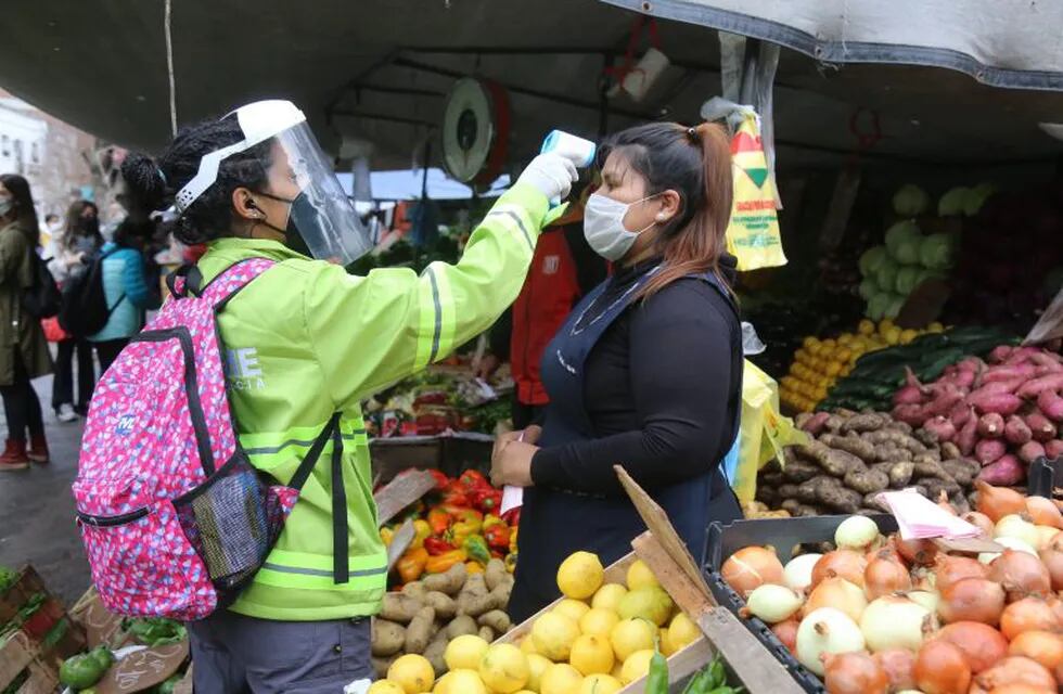 En la feria de Avenida 38 entre 9 y 11 se realizaron controles de temperatura a vendedores y consumidores (Municipalidad de La Plata)