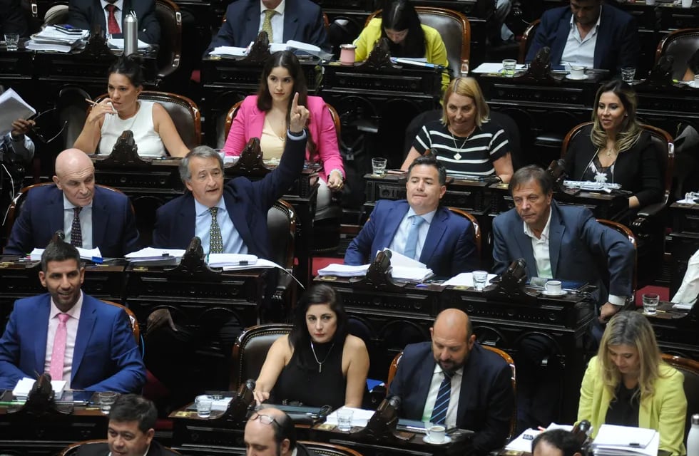 Diputados de La Libertad Avanza en una sesión de la Cámara Baja (Foto: Federico López Claro)