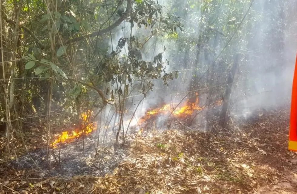 Incendio en Puerto Iguazú junto a la reserva Marangatú. (Misiones Online=