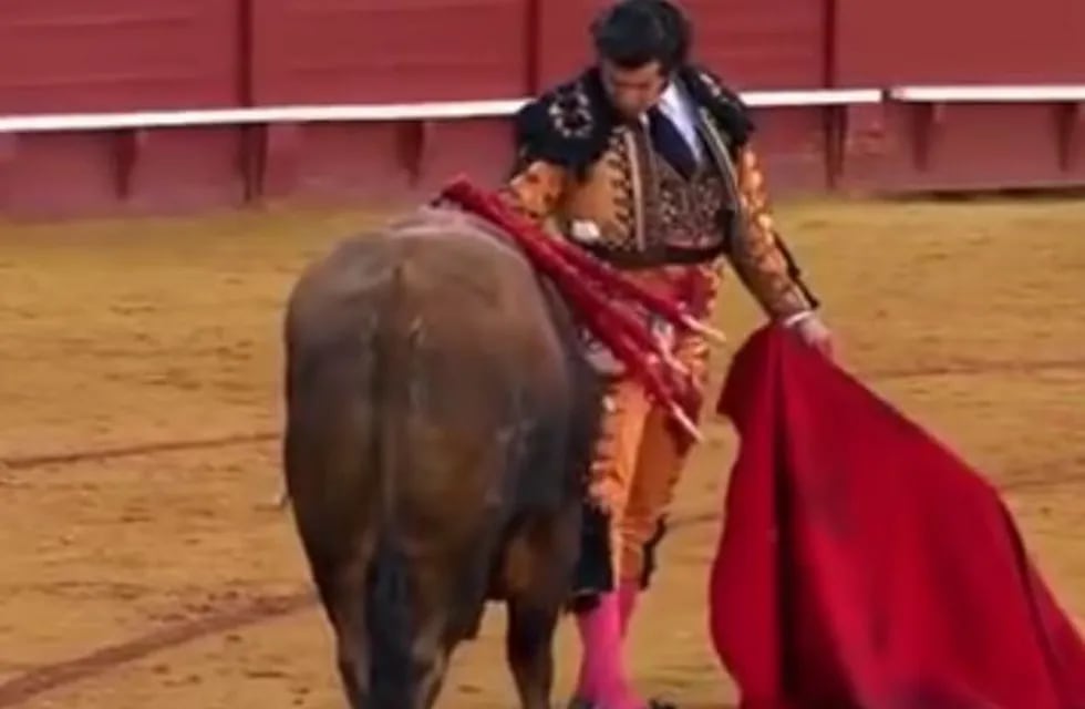 Un torero le secó las lágrimas a un toro antes de matarlo. (Captura)