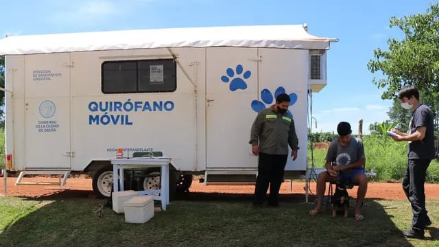 Oberá: el quirófano móvil para mascotas continúa trabajando en el barrio Sargento Cabral