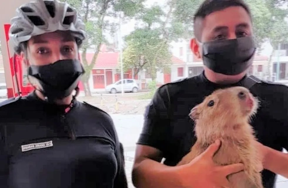 Los policías que rescataron al carpincho en Libertador (Jujuy)