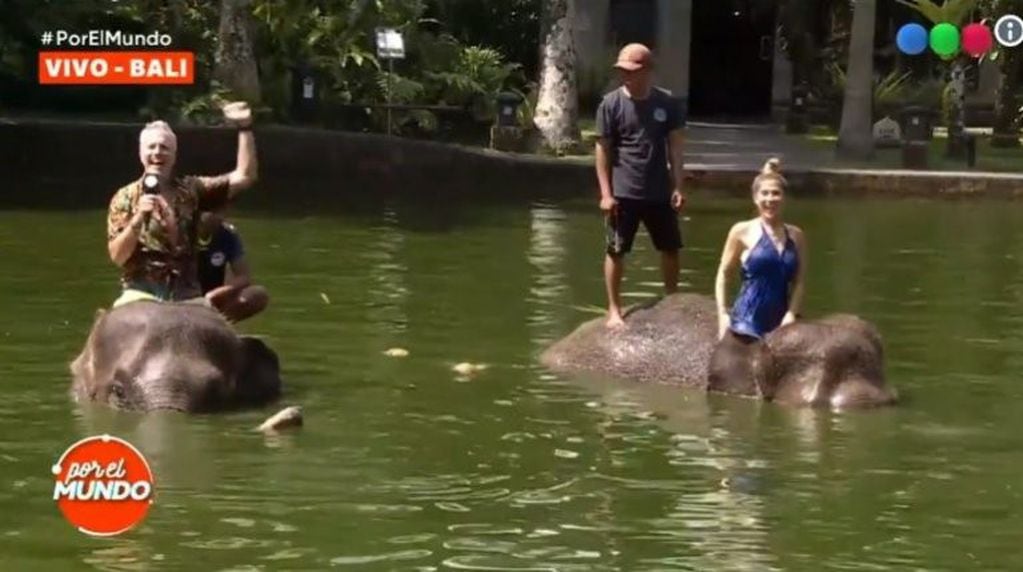 Jimena Barón y Marley fueron acusados de maltratar animales por montar elefantes