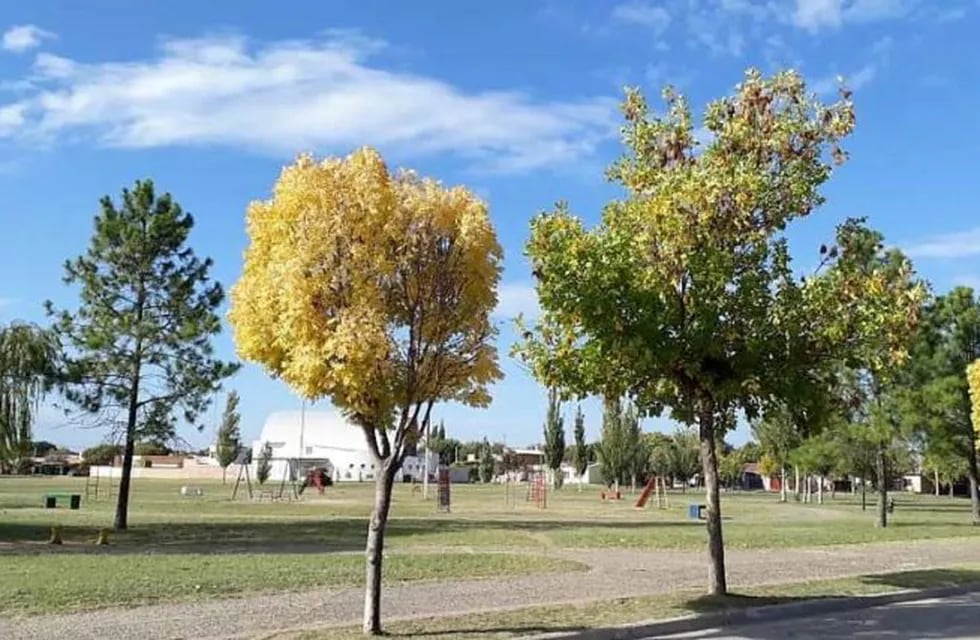 Relevamiento de espacios verdes en Santa Rosa (Municipalidad de Santa Rosa)