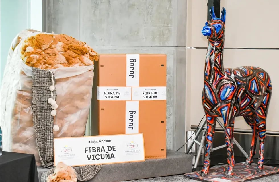 Con la compra de 124,665 kilos de fibra de vicuña por parte de la empresa italiana Loro Piana S.p.a. se abre el mercado internacional para ese rubro.