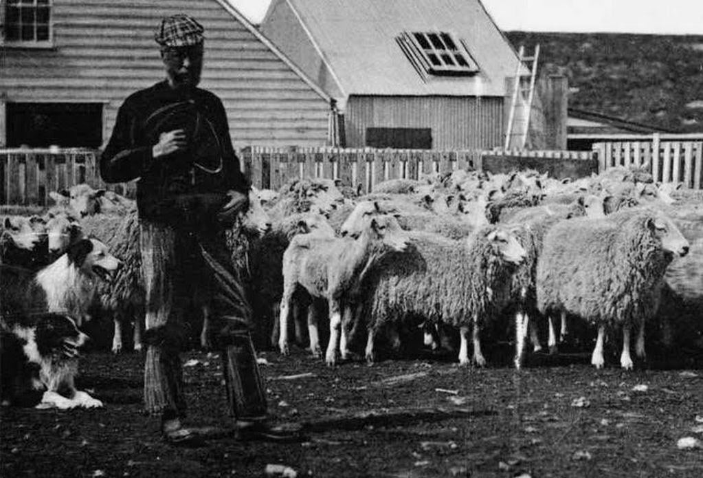 Primeras cabañas ovinas