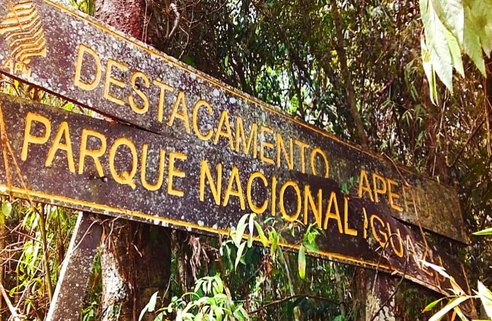 Reabrirán caminos de vigilancia del “Alto Iguazú” para combatir la caza furtiva.