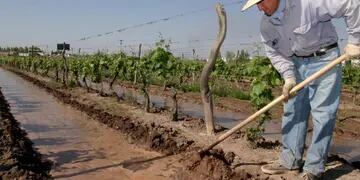 Buscan aumentar la competitividad en productores de San Rafael