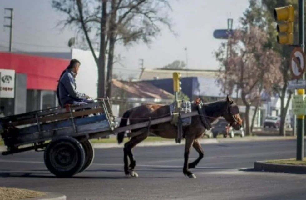 Carro tirado a caballo protagonizó grave accidente