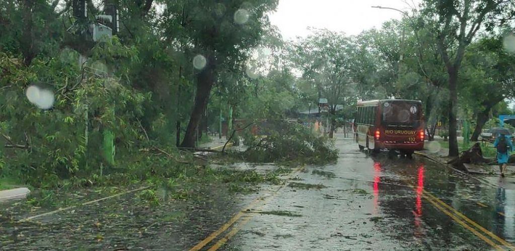 Fuerte temporal azotó a la zona Norte provincial ocasionando varios destrozos en Puerto Iguazú.