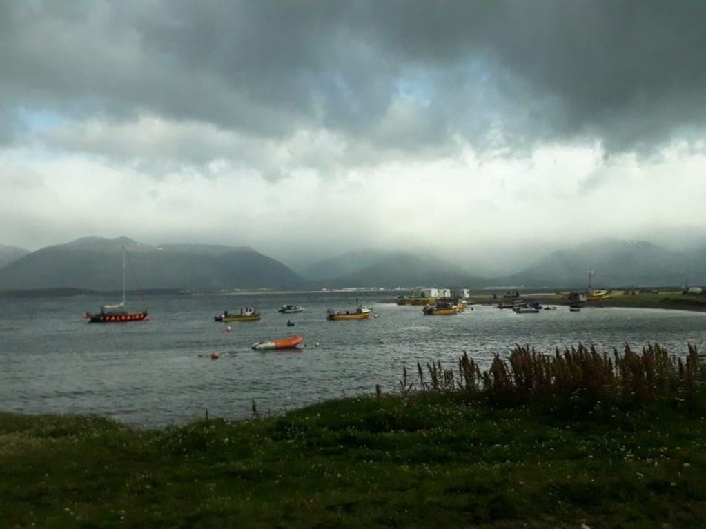 Puerto Almanza, es una localidad pequeña de la provincia. Una de sus actividades, es la producción pesquera y el cultivo de bivalvos en aguas del Canal Beagle.