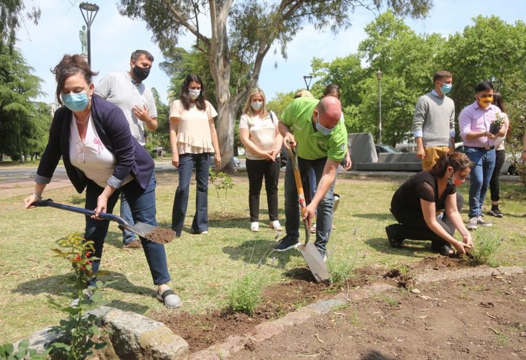 Los vecinos colaboran plantando árboles y arbustos. (Municipalidad de La Plata)