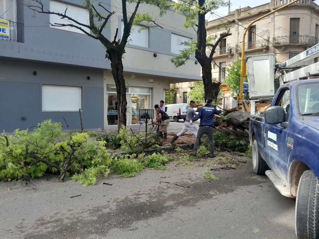 Temporal en Tres Arroyos: evacuados, árboles  caídos, techos volados y daños