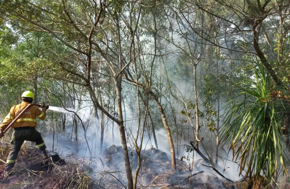 Ocho hectáreas de un área natural protegida consumidas por un incendio en Puerto Libertad.