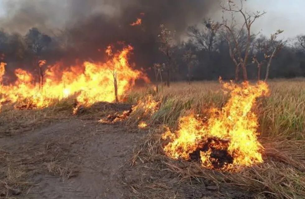 Multarán por más de $500 mil o 60 días de arresto a quien genere incendios en Chaco