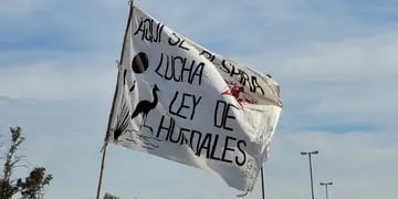 Protesta contra los incendios en las islas del Delta del Paraná