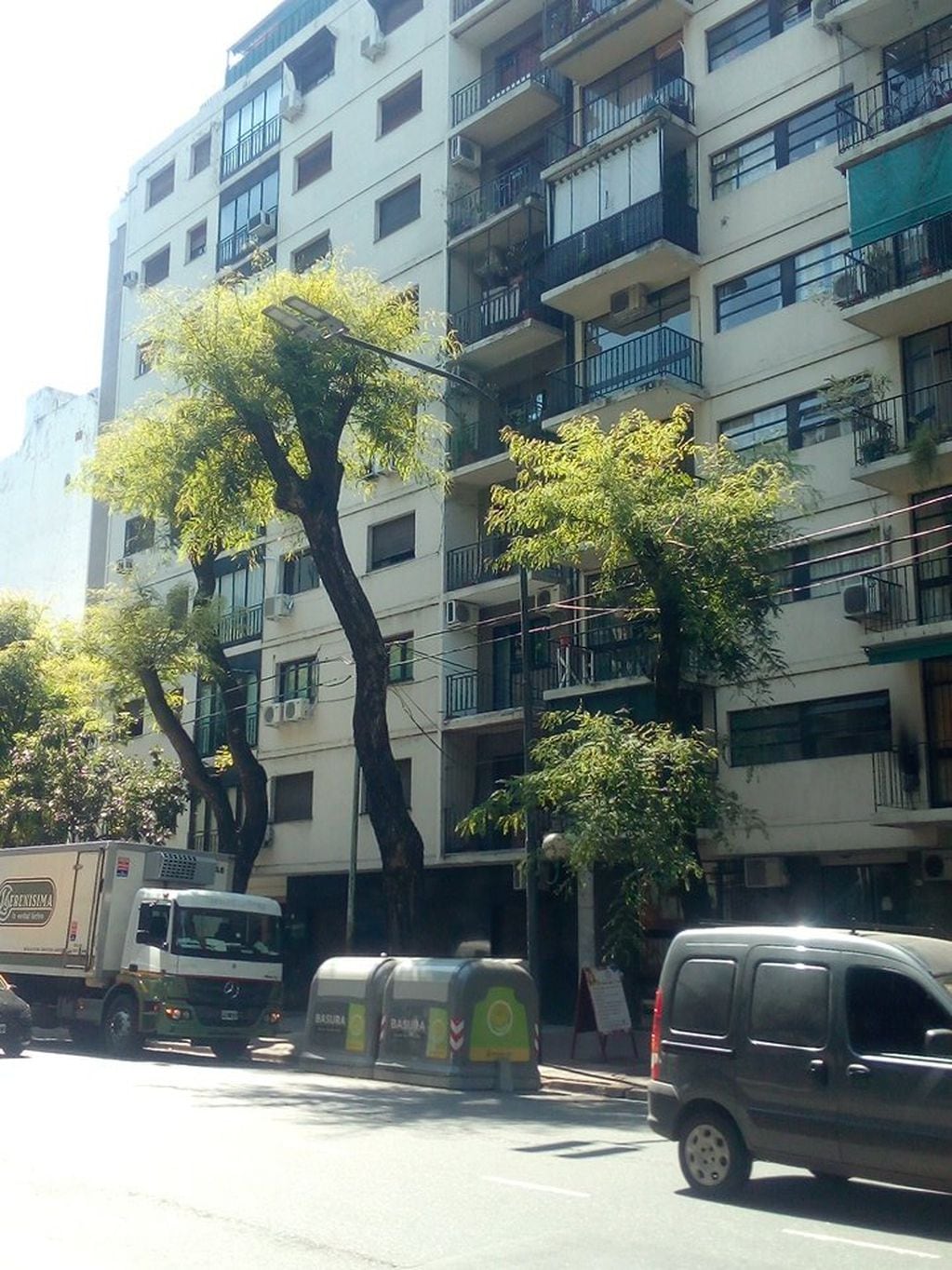Poda y tala de árboles en la ciudad de Buenos Aires