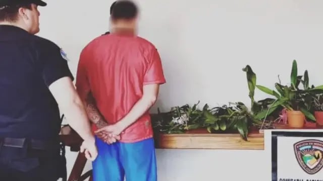 Puerto Rico: descubrió al ladrón de sus orquídeas mediante las redes sociales